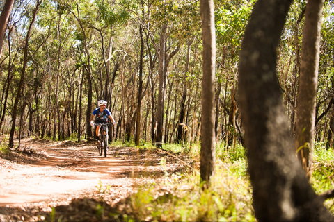 Davies Creek Mountain Bike Park - Accommodation Coffs Harbour 1