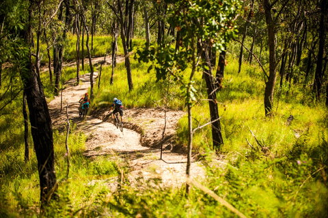 Davies Creek Mountain Bike Park - Accommodation Coffs Harbour 2