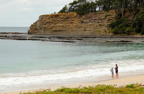 Depot Beach Picnic Area - Accommodation Coffs Harbour 0