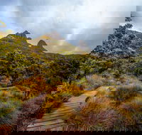 Dove Lake - Accommodation Coffs Harbour