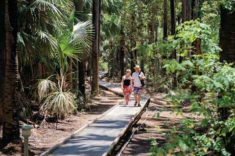 Elsey National Park - Accommodation Coffs Harbour 2