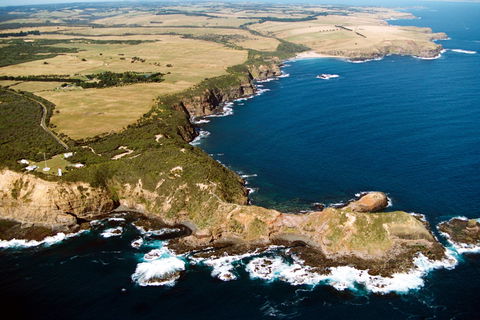 Fingal Beach Walk - Accommodation Coffs Harbour 0