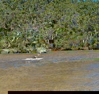 Fitzpatrick Park - Accommodation Coffs Harbour