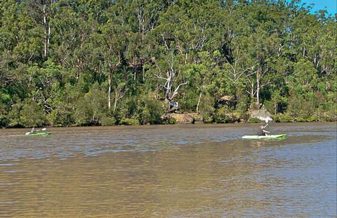 Fitzpatrick Park - Accommodation Coffs Harbour 0