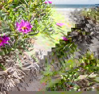 Fort Bribie - Accommodation Coffs Harbour