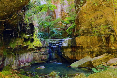 Glimpse Of The Outback 5 Day Tour - Roma And Surrounds - Accommodation Coffs Harbour 0