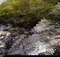 Gloucester River walking track - Accommodation Coffs Harbour