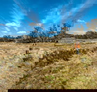 Goldseekers track - Accommodation Coffs Harbour