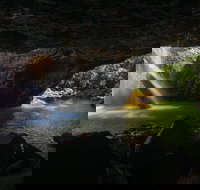 Gondwana Rainforests of Australia World Heritage Area - Accommodation Coffs Harbour