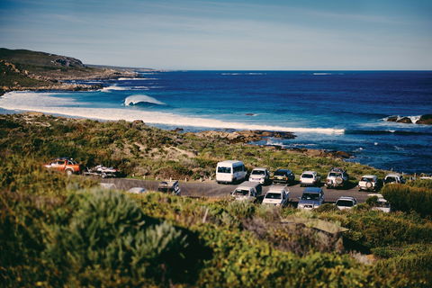 Gracetown - Accommodation Coffs Harbour 0