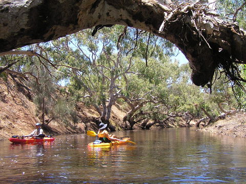 Greenough River Nature Trail - Accommodation Coffs Harbour 1