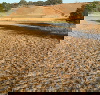 Gunning Golf Club - Accommodation Coffs Harbour