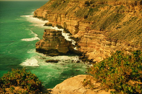 Island Rock And Natural Bridge - Accommodation Coffs Harbour 0
