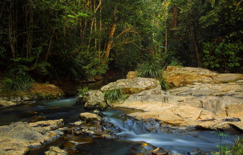 Jumrum Creek Walk, Jumrum Creek Conservation Park - Accommodation Coffs Harbour 0