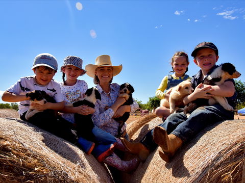 Katherine Outback Experience - Accommodation Coffs Harbour 1