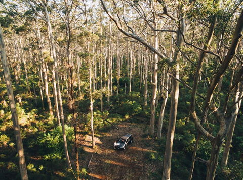Leeuwin-Naturaliste National Park - Cowaramup - Accommodation Coffs Harbour 0