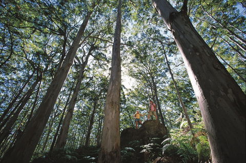 Leeuwin-Naturaliste National Park - Leeuwin - Accommodation Coffs Harbour 0