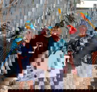 Maleny Botanic Gardens and Bird World - Accommodation Coffs Harbour