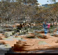 Mallee Stop walking track - Accommodation Coffs Harbour