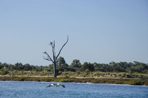 Mandurah Estuary And Peel Inlet - Accommodation Coffs Harbour 1