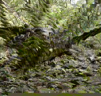 Mitchell River Walking Track - Accommodation Coffs Harbour