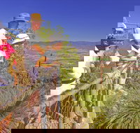 Moogerah Peaks National Park - Accommodation Coffs Harbour