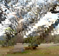 Moolarben Picnic Area - Accommodation Coffs Harbour