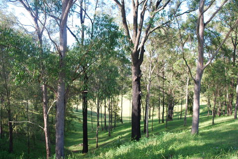 Mount Schoenstatt Spirituality Centre - Accommodation Coffs Harbour 1