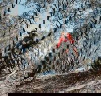 Mountain Bike Trails Deniliquin - Accommodation Coffs Harbour