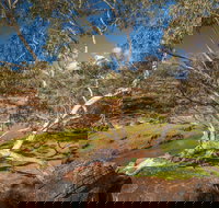 Mount Grenfell Historic Site - Accommodation Coffs Harbour