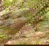 Mount Carnarvon Walking Track - Accommodation Coffs Harbour