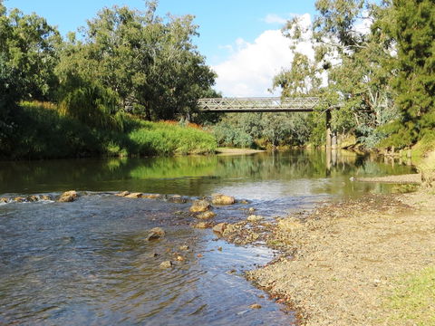 Namoi River And Woolshed Reserve - Accommodation Coffs Harbour 0
