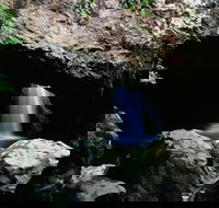 Natural Bridge Circuit Springbrook National Park - Accommodation Coffs Harbour