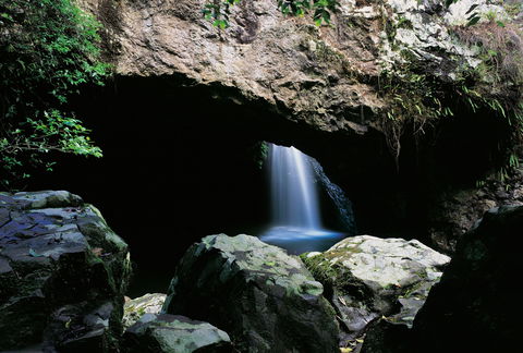 Natural Bridge Circuit, Springbrook National Park - Accommodation Coffs Harbour 0