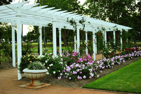 Newtown Park State Rose Garden - Accommodation Coffs Harbour 1