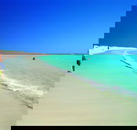 Ningaloo - Accommodation Coffs Harbour