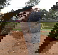 Ovens Riverside Path  Bullawah Cultural Trail - Accommodation Coffs Harbour