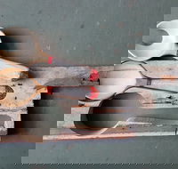 Phoenix Creations - Accommodation Coffs Harbour