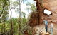 Pilliga Forest - thumb 0