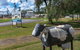 Queensland Dairy And Heritage Museum - thumb 2