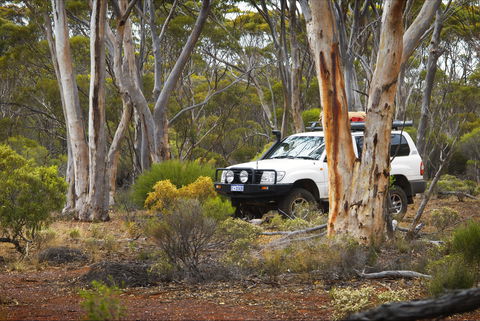 Ravensthorpe Range - Accommodation Coffs Harbour 0