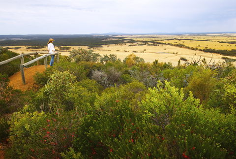 Ravensthorpe Range - Accommodation Coffs Harbour 1