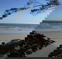 Shark Bay - Accommodation Coffs Harbour