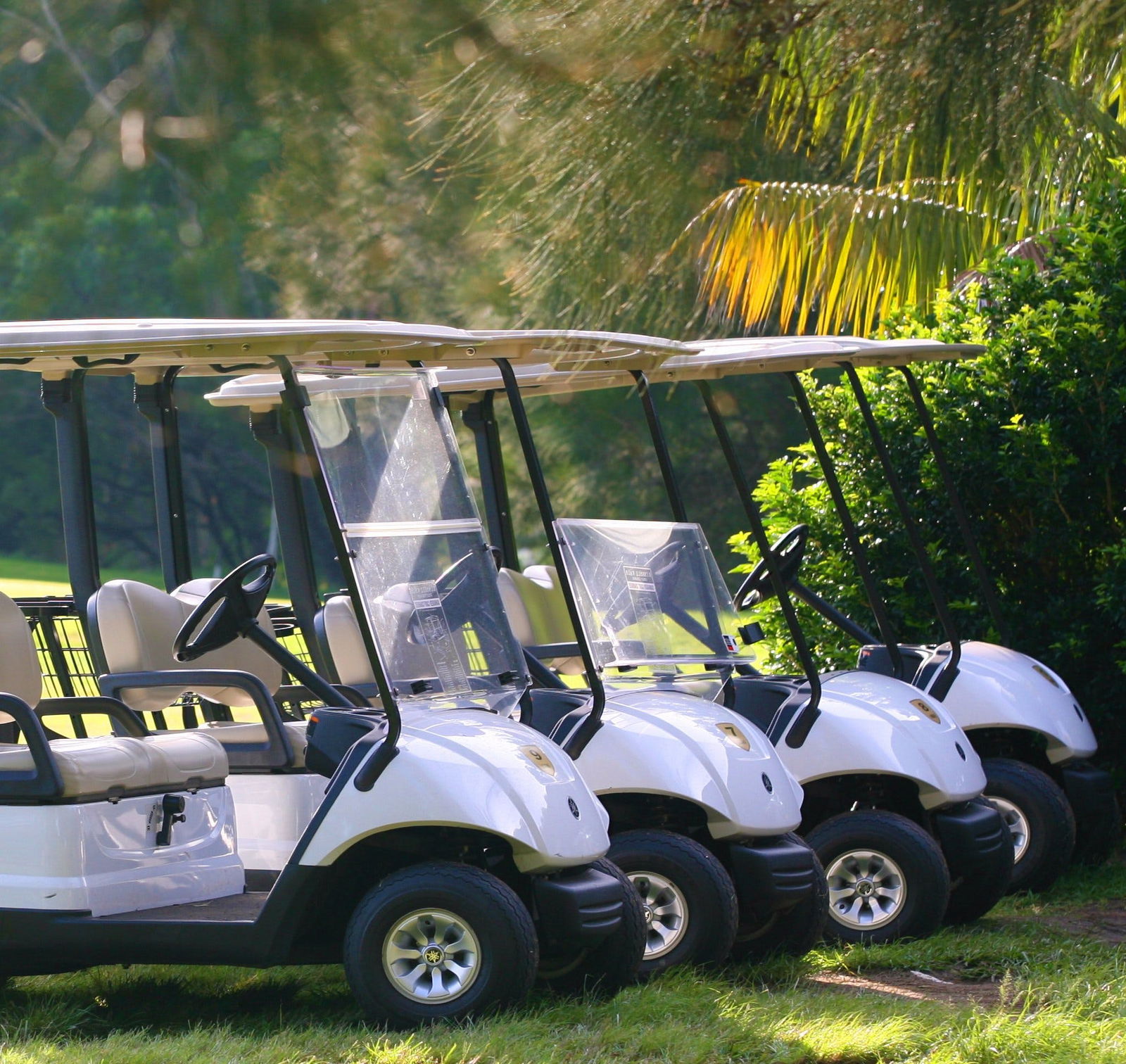 Russell Vale NSW Accommodation Coffs Harbour