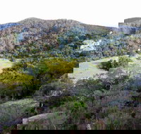 The Bellbird - Accommodation Coffs Harbour