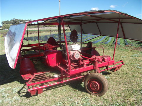 The Super Strawberry - Accommodation Coffs Harbour 2