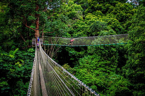 Thunderbird Park ® - Tamborine Mountain, Gold Coast Region - Accommodation Coffs Harbour 0