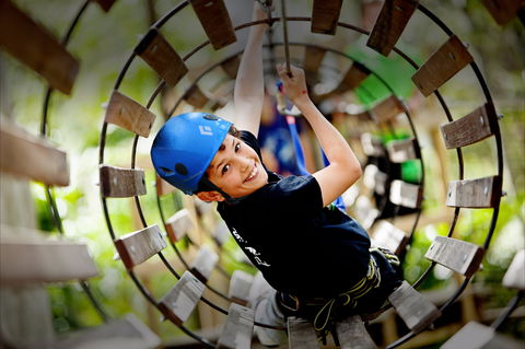 Thunderbird Park ® - Tamborine Mountain, Gold Coast Region - Accommodation Coffs Harbour 1
