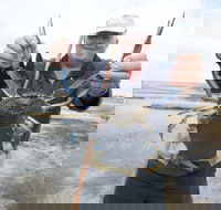 Tiddy Widdy Beach - Accommodation Coffs Harbour