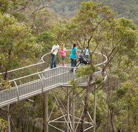 Walpole Wilderness Discovery Centre - Accommodation Coffs Harbour